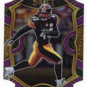 Troy Polamalu 2020 Panini Select #28